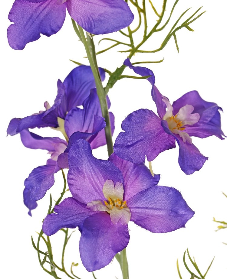 Delphinium (Ridderspoor) 2x vertakt, met 12 bloemen (4L/4M/4Sm), 7 knopjes (3cm) & 7 bladeren, 96 cm