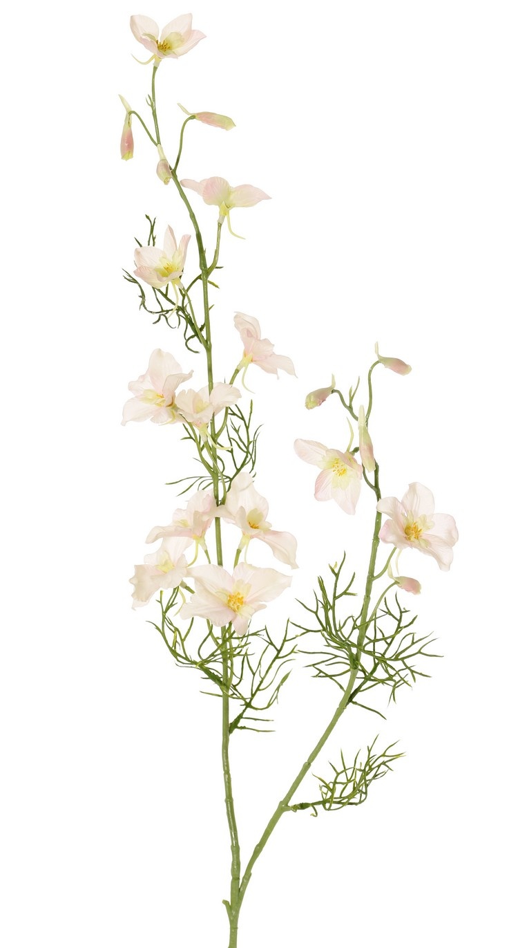 Rittersporn, Delphinium, 2x verzweigt, 12 Blüten), 7 Knospen (3 cm) & 7 Blätter, 96 cm