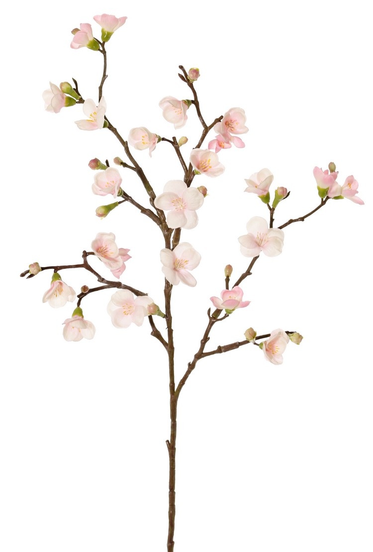 Blossombranch 'Quinn' with 23 flowers (5L / 11M / 7Sm) & 15 plastic knoppen, 2x branched, 70 cm