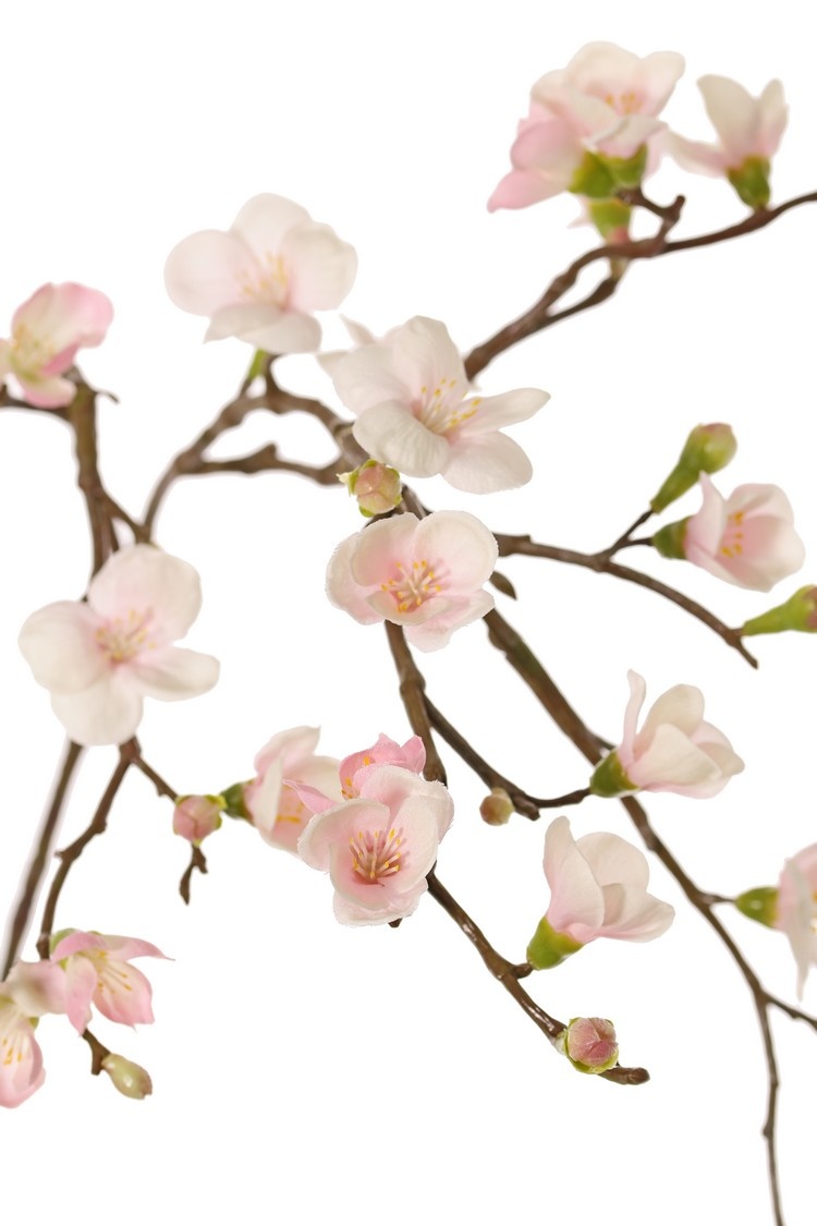 Blossombranch 'Quinn' with 23 flowers (5L / 11M / 7Sm) & 15 plastic knoppen, 2x branched, 70 cm