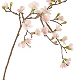 Blossombranch 'Quinn' with 23 flowers (5L / 11M / 7Sm) & 15 plastic knoppen, 2x branched, 70 cm
