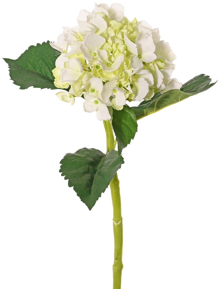 Hortensia (Hydrangea) "De Luxe", x96fls (40big/32med/24small), 48cm