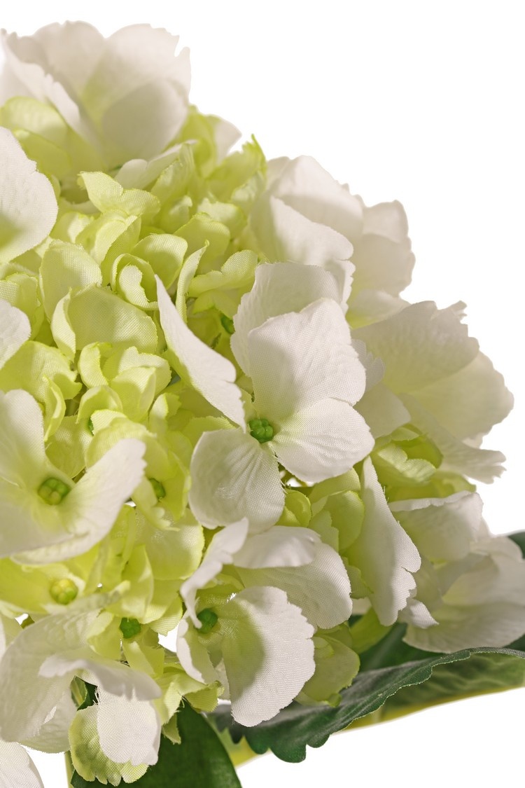 Hydrangea "De Luxe" 96 flores (40 big, 32 medium, 24 small) , 48cm