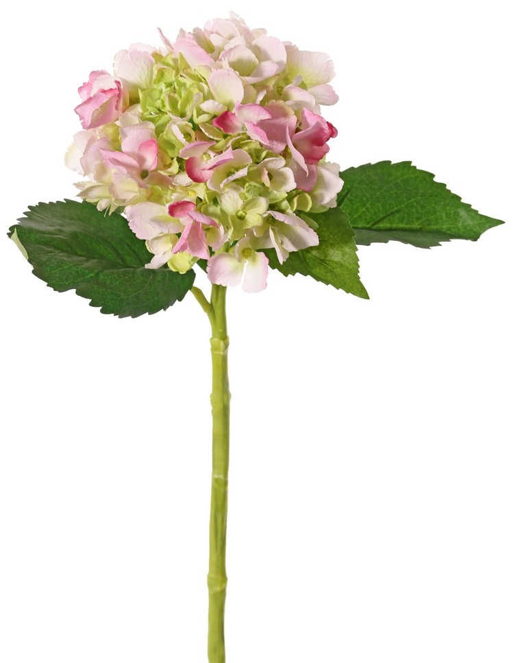 Hortensia (Hydrangea) "De Luxe", x96fls (40big/32med/24small), 48cm