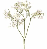 Gipskruidtak (Gypsophila) 3x vertakt, 15 bloemenclusters, 90 bloemen & 45 knopjes 65cm