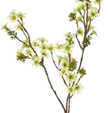 Leptospermum (tea tree) with 43 flowers, 8 sets of plastic leaves, 86 cm