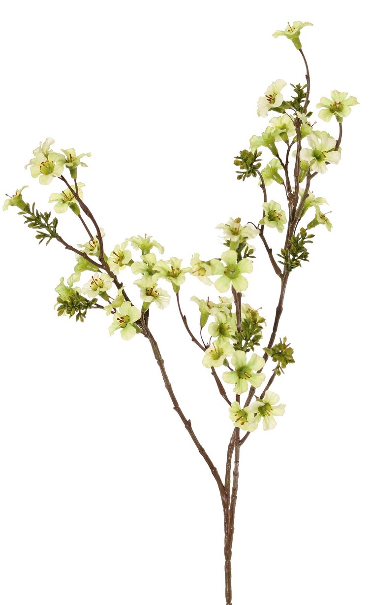 Leptospermum (tea tree) with 43 flowers, 8 sets of plastic leaves, 86 cm