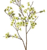 Leptospermum-Zweig ( Teebaum) 2x verzweigt, 79 Blüten,10 Plastikblattbüschel, 110 cm