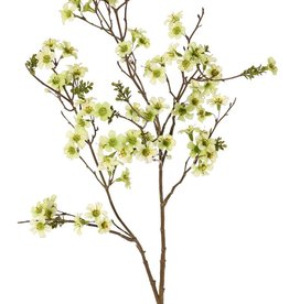 Leptospermum-Zweig ( Teebaum) 2x verzweigt, 79 Blüten,10 Plastikblattbüschel, 110 cm