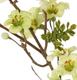 Leptospermum ( tea tree), 79 flowers & 10 sets of plastic leaves, 110 cm