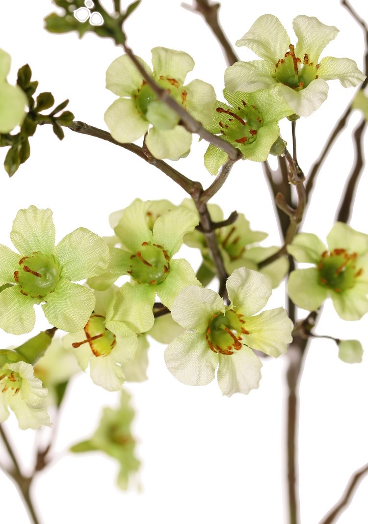 Leptospermum ( tea tree), 79 flowers & 10 sets of plastic leaves, 110 cm