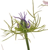 Nigella (Persian jewel), 4 flowers & 2 buds, 15 sets of leaves, 66cm