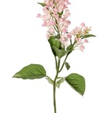 Lilac (Syringa) 2 flowers, (20 / 8 cm), 12 leaves (3 L / 2 M / 7 S), 80 cm