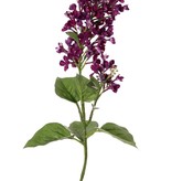 Lilac (Syringa) 2 flowers, (20 / 8 cm), 12 leaves (3 L / 2 M / 7 S), 80 cm