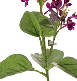 Syringa con 2 flores, (20 / 8 cm), 12 hojas (3 L / 2 M / 7 S), 80 cm