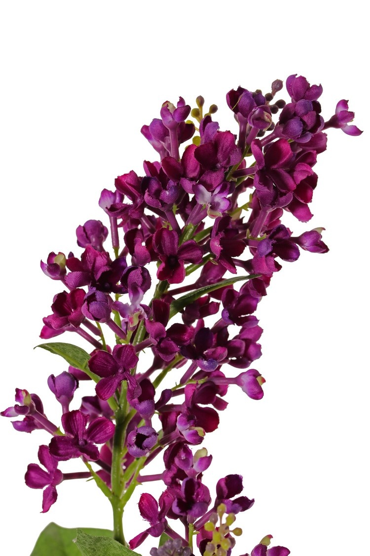 Lilac (Syringa) 2 flowers, (20 / 8 cm), 12 leaves (3 L / 2 M / 7 S), 80 cm