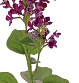 Syringa con 2 flores, (20 / 8 cm), 12 hojas (3 L / 2 M / 7 S), 80 cm