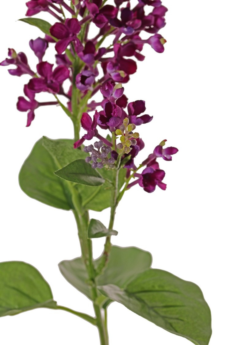 Fliederzweig (Syringa) mit 2 Blütenständen (20 / 8 cm), 12 Blätter (3 L / 2 M / 7 S), 80 cm