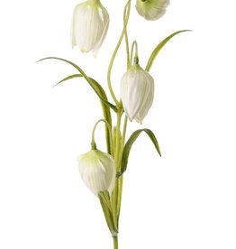 Fritillaria lavendel 4 bloemen en 3 sets met blad, 45cm