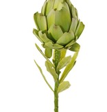 Alcachofa (Cynara) peq., 'Garden Art', Ø 6 cm, a. 8 cm, 9 hojas, 37 cm
