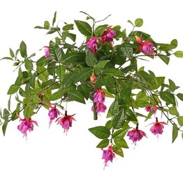 Fuchsia (Bellenplant) x12 met 36 bloemen (Ø 5 cm), 18 knoppen & 306 bladeren, Ø 45 / H. 30 cm