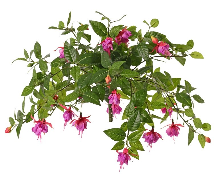 Fuchsiabush with 36 flowers (Ø 5 cm), 18 buds & 306 leaves, Ø 45 / H. 30 cm