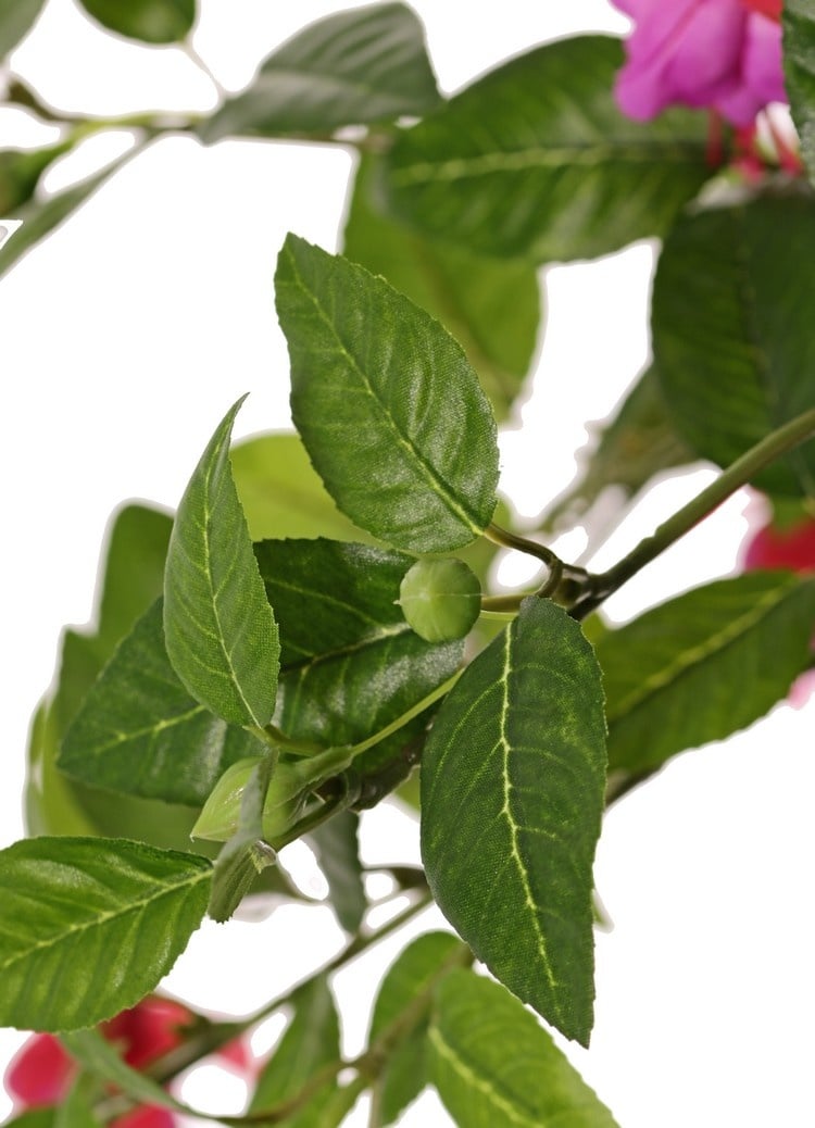 El chilco (fuchsia) con 36 flores (Ø 5 cm), 18 capullos & 306 hojas, Ø 45 / H. 30 cm