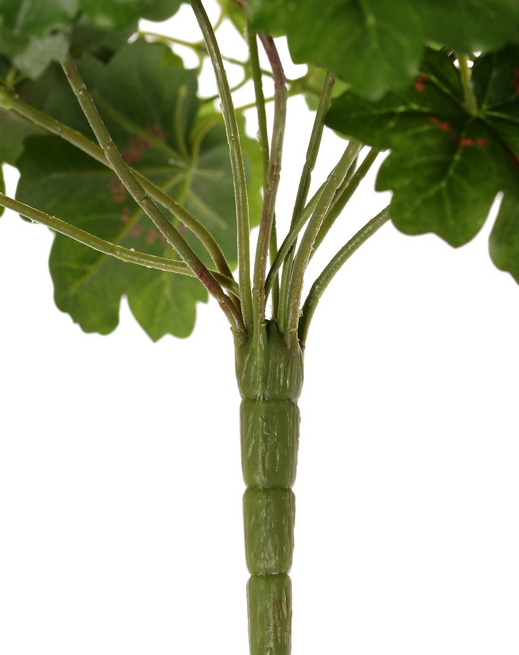 Geranium, Geranie (Austrian), 40cm, Ø40cm