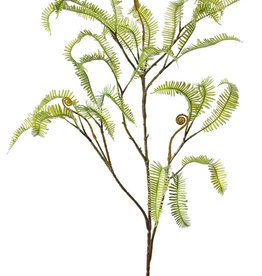 Asplenium (Dragon tail) fern branch, 27 fern leaves (13 cm), 100 cm