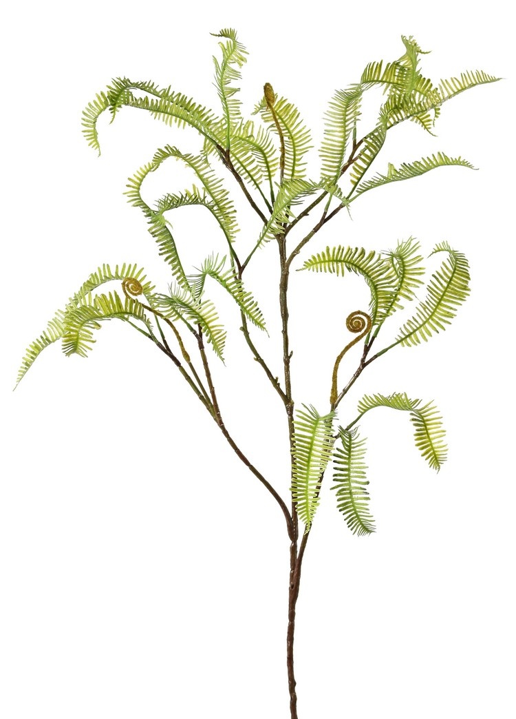 Asplenium (Dragon tail) fern branch, 27 fern leaves (13 cm), 100 cm