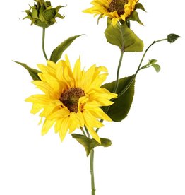 Zonnebloem (Helianthus) medium met 3 uitlopers, 2 bloemen (Ø 11 / 8 cm), 2 knoppen & 6 bladeren, 60 cm