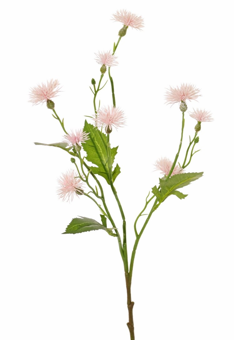 Brown knapweed (Centaurea) 9 plastic flowers (6x L / 3x S), 4 leaves, 2 buds, 55 cm