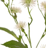 Brown knapweed (Centaurea) 9 plastic flowers (6x L / 3x S), 4 leaves, 2 buds, 55 cm