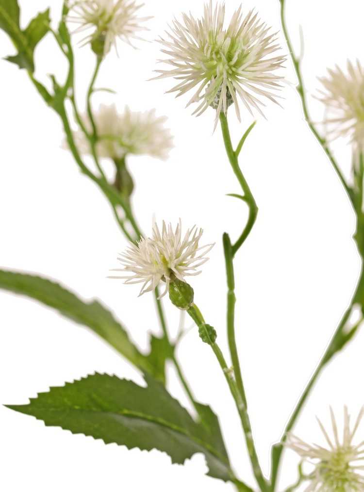 Brown knapweed (Centaurea) 9 plastic flowers (6x L / 3x S), 4 leaves, 2 buds, 55 cm