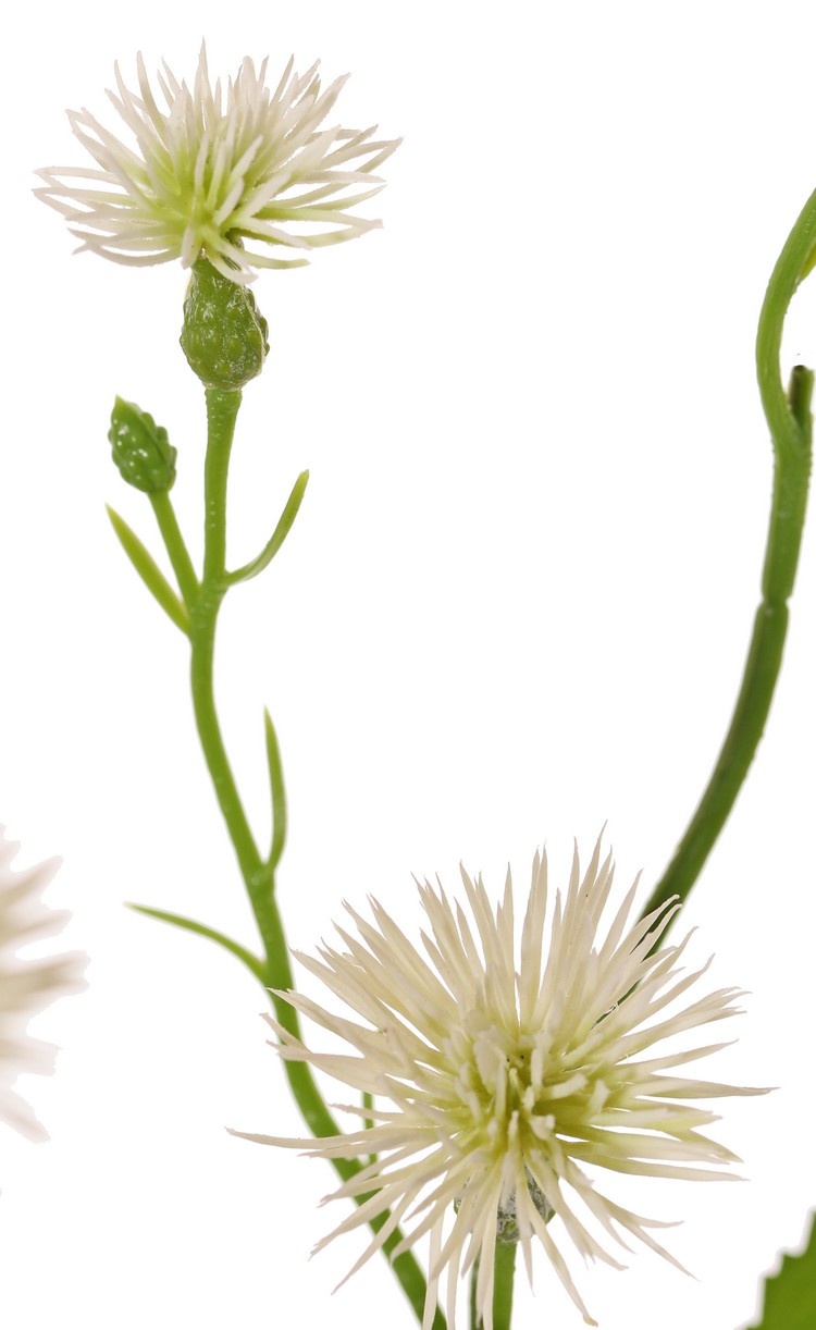 Brown knapweed (Centaurea) 9 plastic flowers (6x L / 3x S), 4 leaves, 2 buds, 55 cm