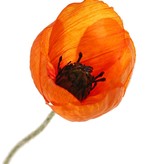 Poppy flower mini, 3 flowers (Ø 5 cm), no leaves, 50 cm