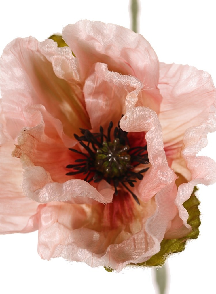 Poppy flower 'Ann', 2 flowers (Ø 12 cm) & 1 bud (7*3.5cm), 76 cm
