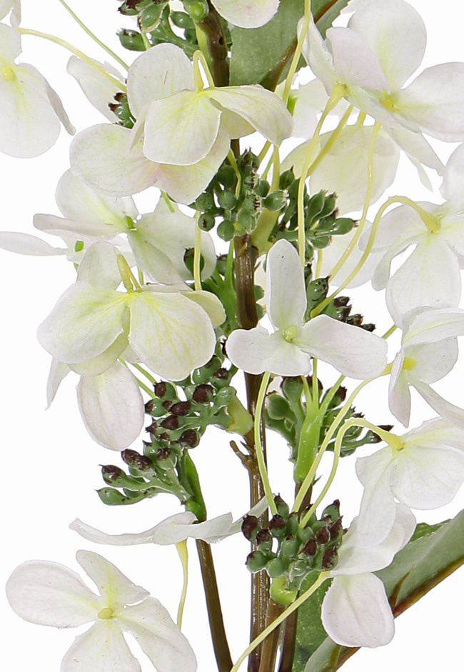 Hydrangea paniculata (Pluimhortensia)  Ø 14cm & 36 petals & 3 blad & 16 plstic knop, 75cm