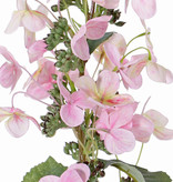 Hortensie paniculata  Ø 14 cm y 36 flores & 3 hojas & 16capullos, 75 cm
