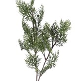 Cypress branch (Cupressus) 'Top Green', 21 leaves, 83 cm