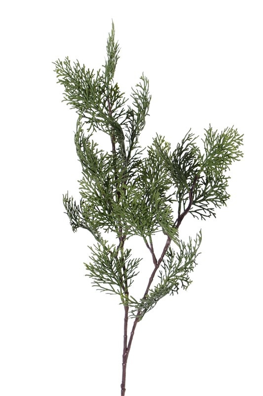 Cypress branch (Cupressus) 'Top Green', 21 leaves, 83 cm