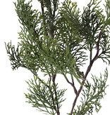 Cypress branch (Cupressus) 'Top Green', 21 leaves, 83 cm