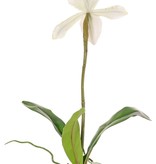 Slipper Orchid (Paphiopedilum) with 1 Flower and 3 leaves, real touch, 40cm