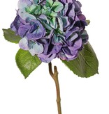 Hortensia "Sensitive", flor: Ø 18cm, 52 pétalos & 5 hojas, 60 cm