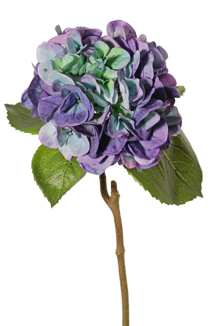Hydrangea "Sensitive", flowerhead: Ø 18cm, 52 petals & 5 leaves, 60 cm