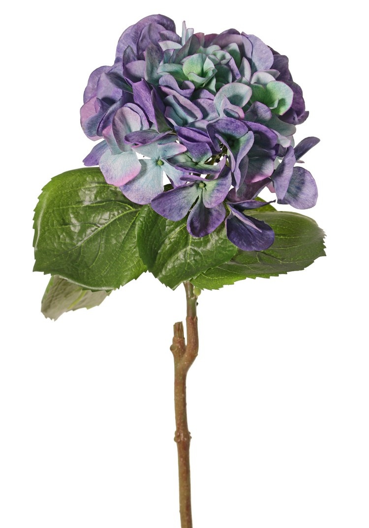 Hortensia "Sensitive", Ø 18cm, 52 bloemblaadjes & 5 bladeren, 60 cm