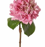 Hortensie "Sensitive", Ø 18cm, 52 Blüten, 5 Blätter, 60cm