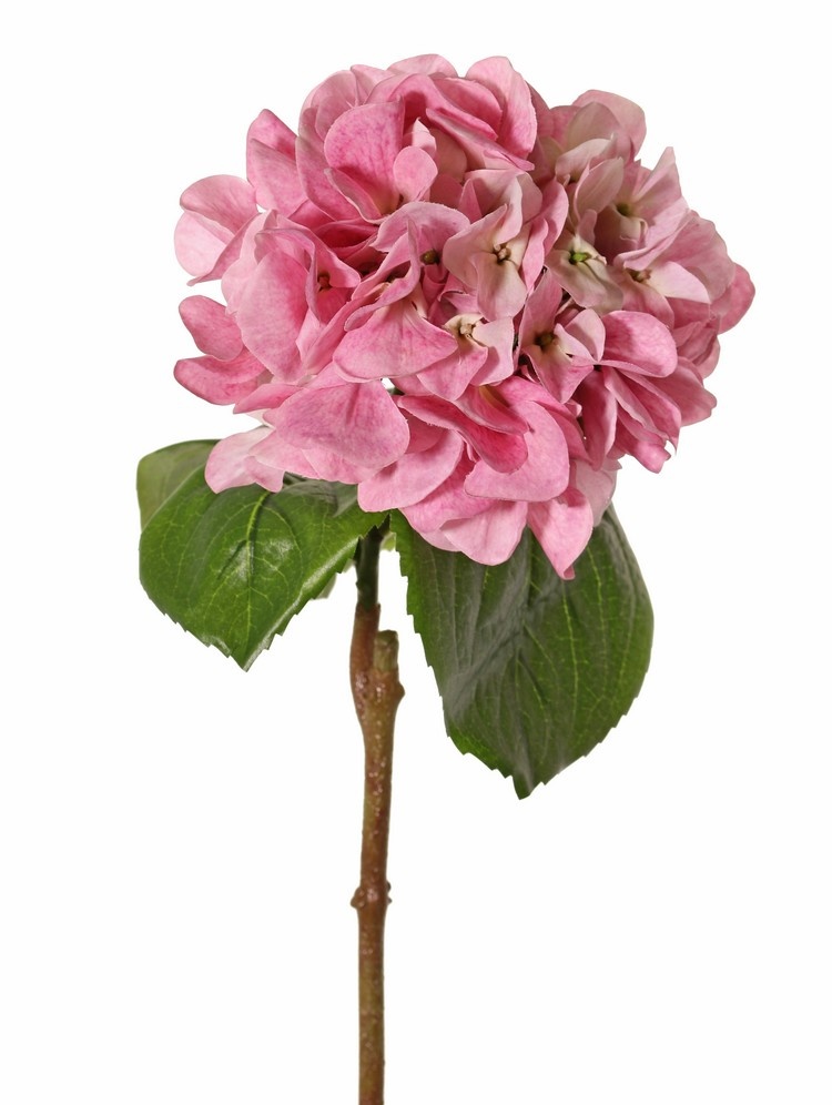 Hydrangea "Sensitive", flowerhead: Ø 18cm, 52 petals & 5 leaves, 60 cm