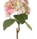 Hortensia "Sensitive", Ø 18cm, 52 bloemblaadjes & 5 bladeren, 60 cm