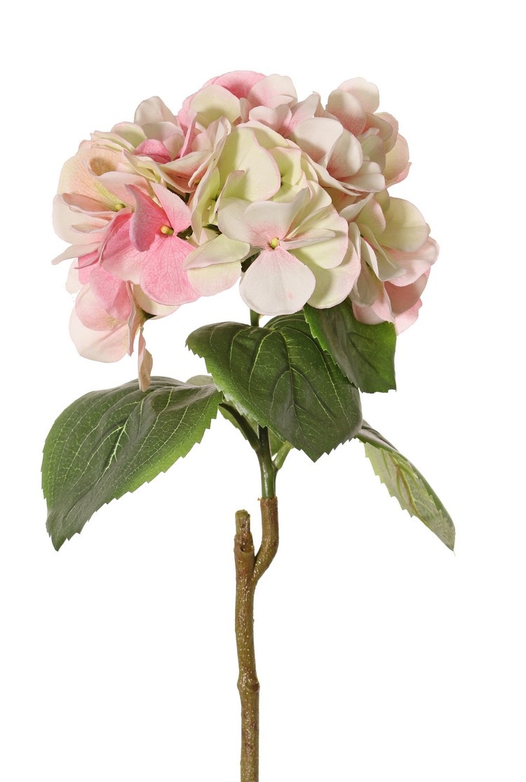 Hortensia "Sensitive", flor: Ø 18cm, 52 pétalos & 5 hojas, 60 cm